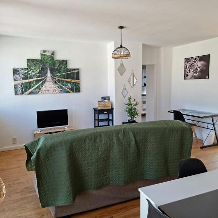 Le Belvedere Vue Pyrenees, Familiale, Centre Tarbes Appartement Buitenkant foto